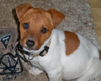 Jethro