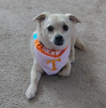 Bailey