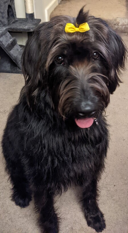 Roxy