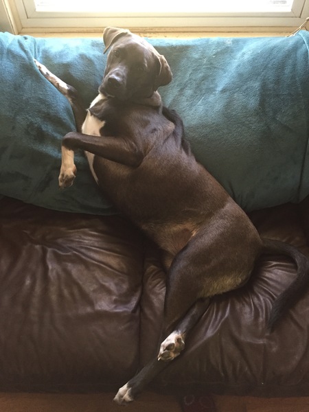Maggie