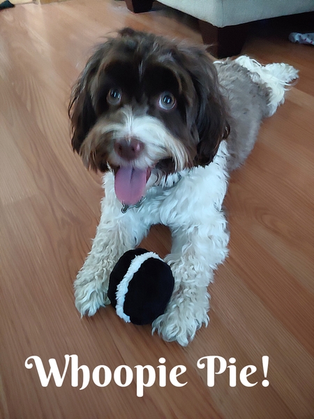 Oscar