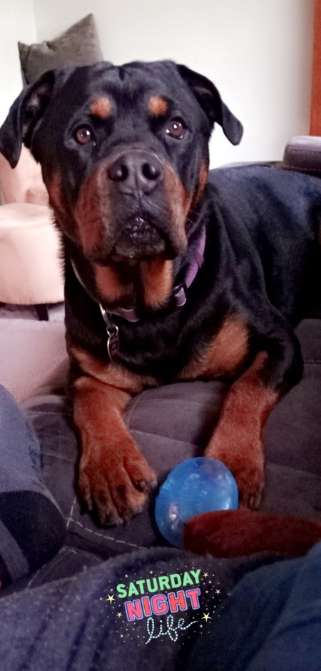Vaeda