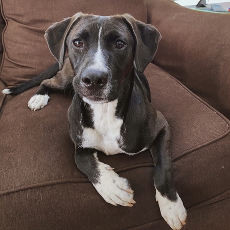 Finn (Goober previously)