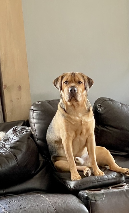 Tyson 