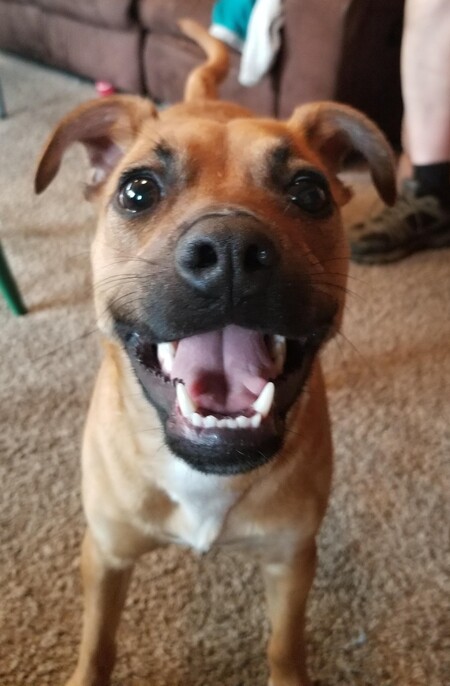 NALA