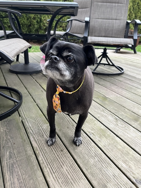 Pepper Roni 
