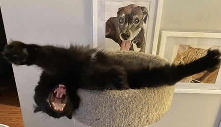 CoCo