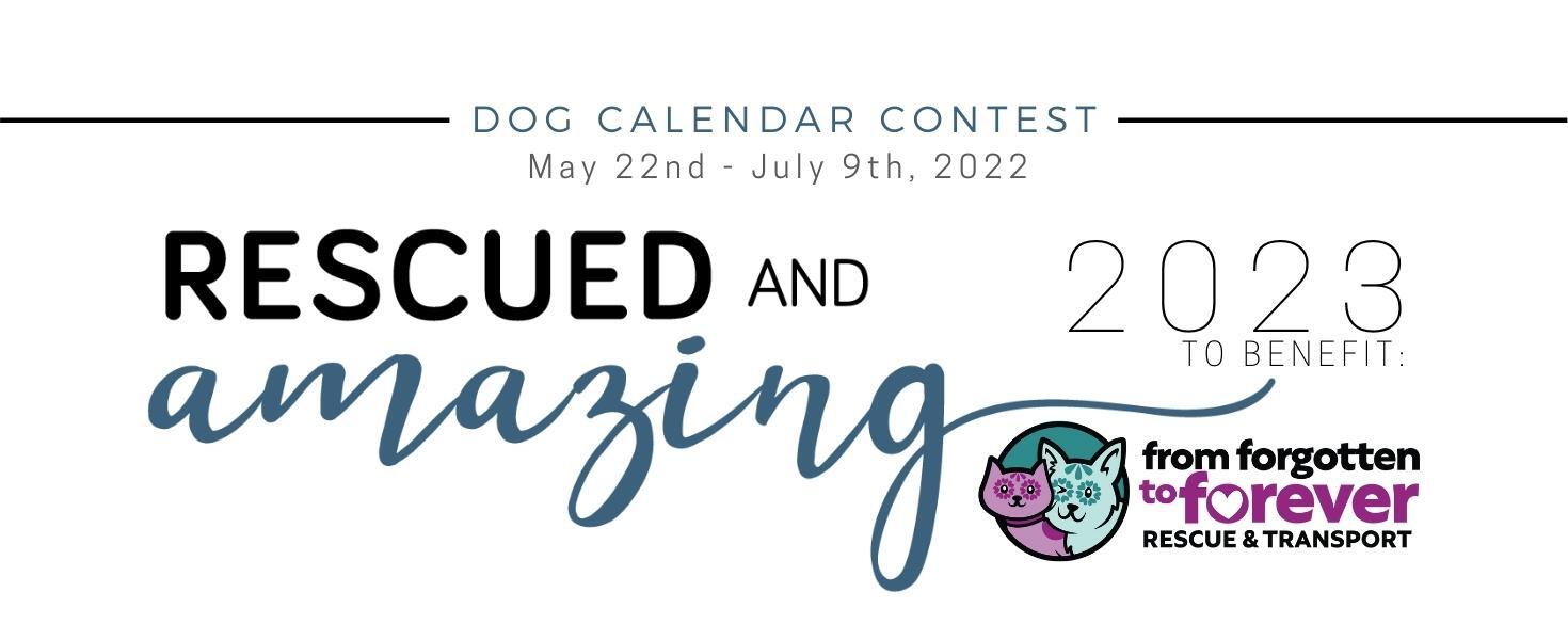 Banner for "Rescued and Amazing 2023" Pet Calendar Contest