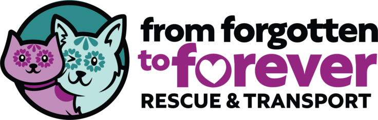 Logo for "Rescued and Amazing 2023" Pet Calendar Contest