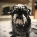 Entry image for Nillie