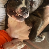 Entry image for Larry