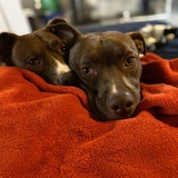 Entry image for Rocky & Claire