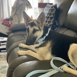 Entry image for Karma