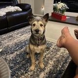 Entry image for Matilda “Tilly” Mae