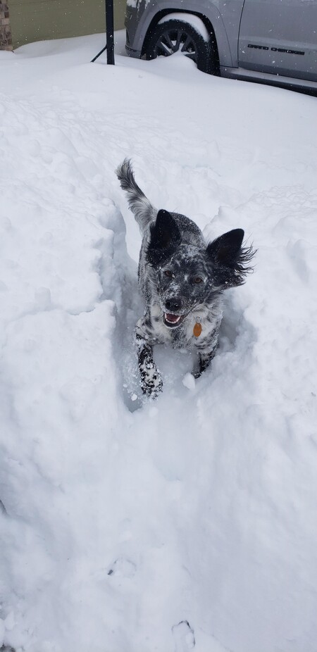 Entry image for Lucy November Letheby (aka Lucy). Clicking this image will show a larger photo