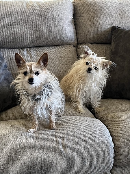Stella and Tucker Wyatt