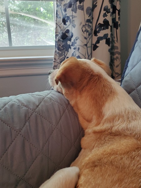 Chloe