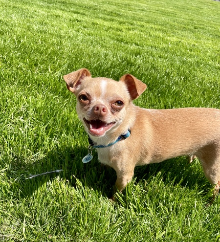 Carlos