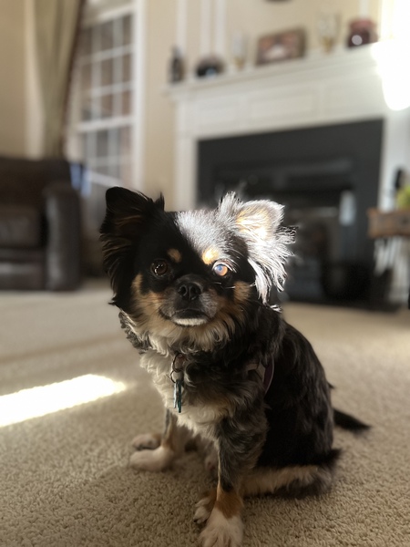 Po