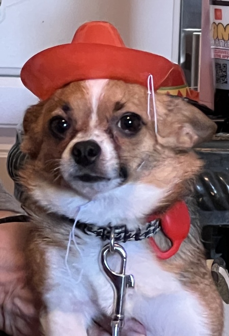 Remy Ticklebus 