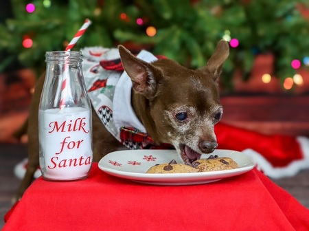 Milo