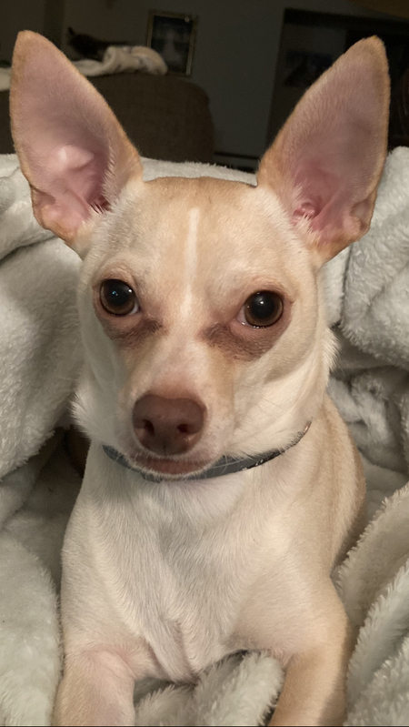 Tucker