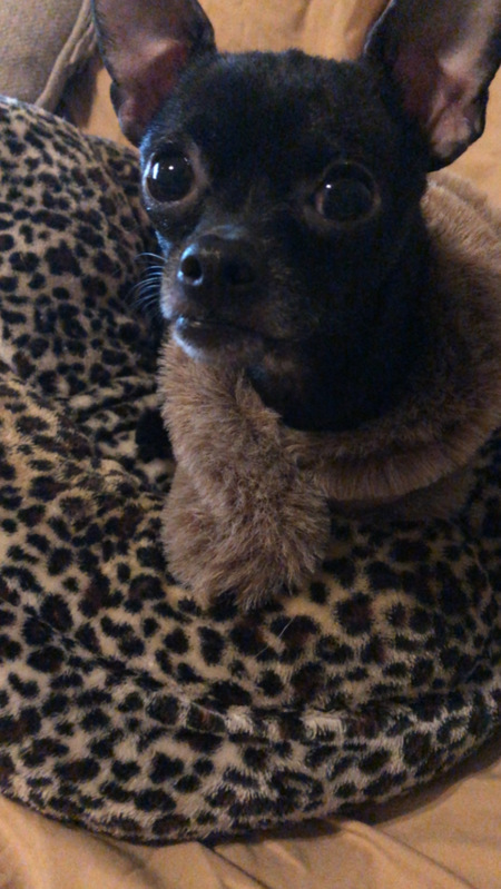 Beni