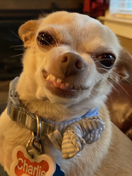 Charlie