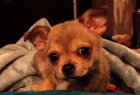 Winnie