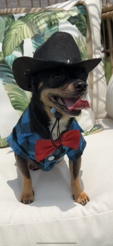 DJ