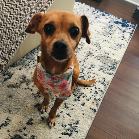 Ruby