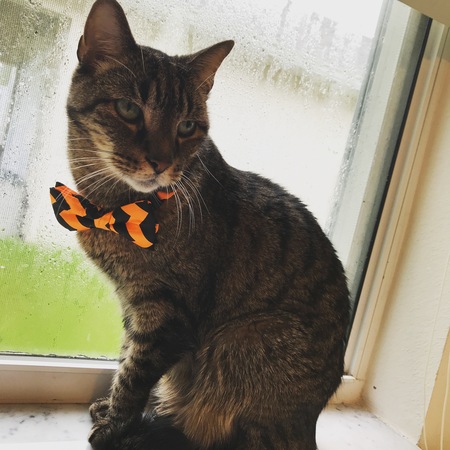 Kiki
