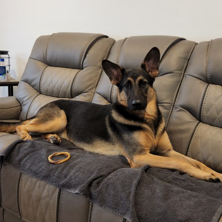 Ruger