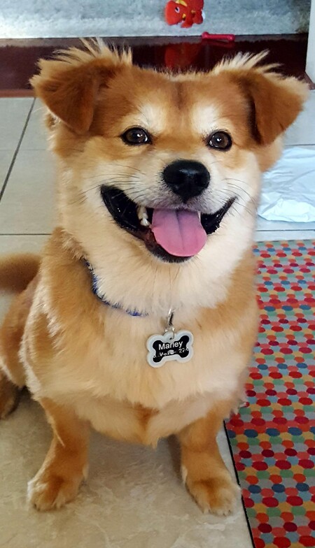 Marley