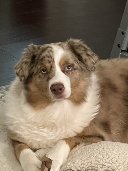 Benson 