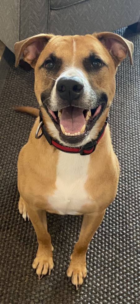 Benny