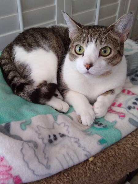 Zoe