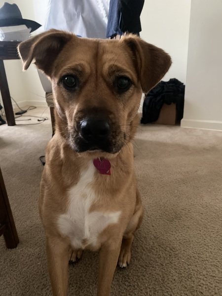 Mia 