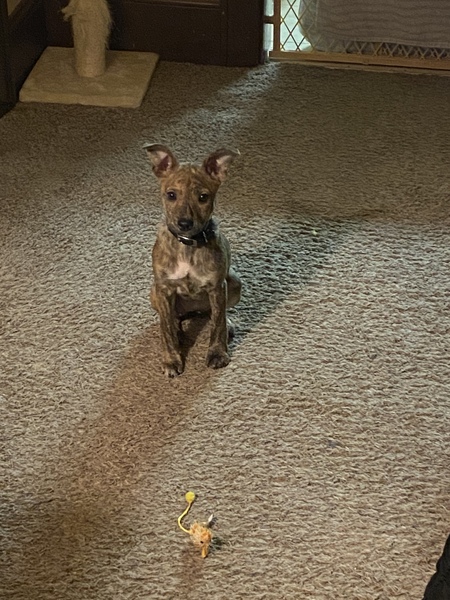 Luna