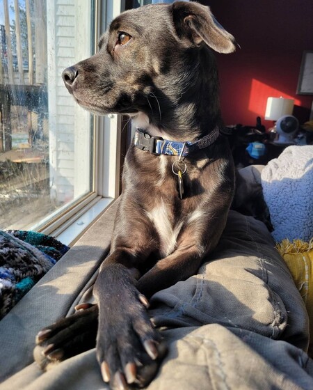Bruce Wayne 