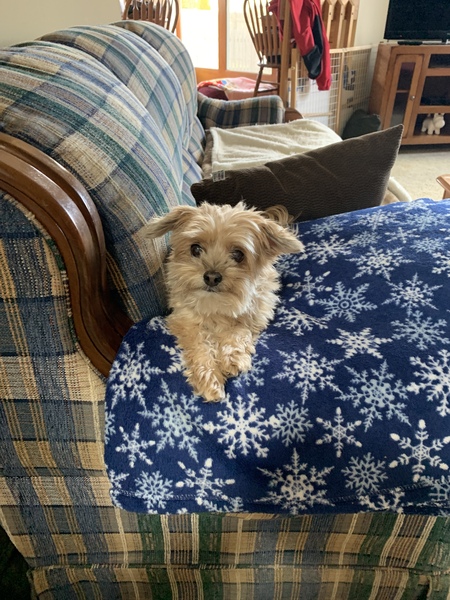 Gabby