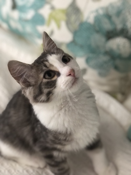 Walter