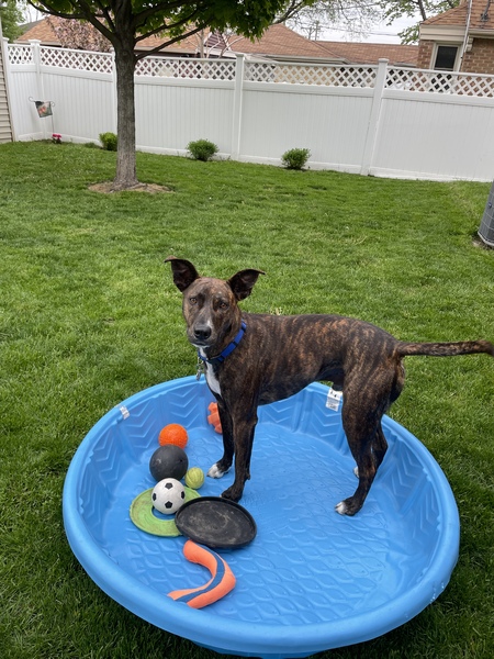 Max