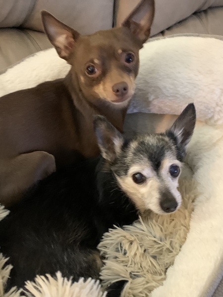 Motley & Buster