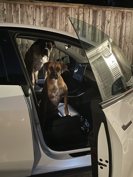 Mo and Duke (Rosemary and Dax)