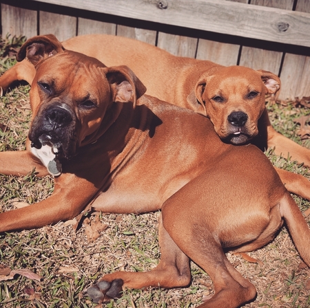 Tucker and Ted