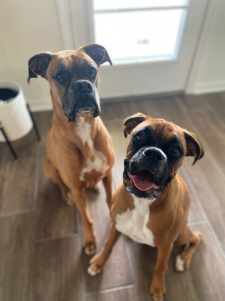 Opie and Molly
