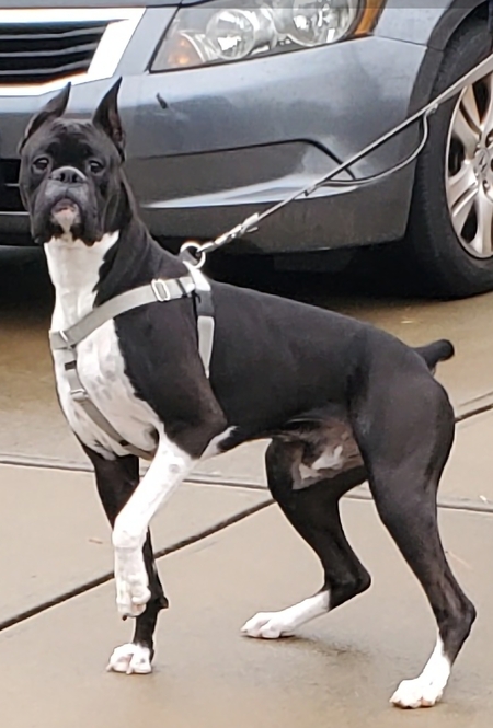 TEX