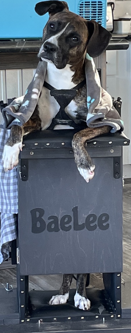 BaeLee 