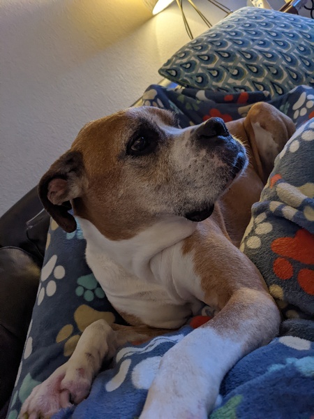 Greta